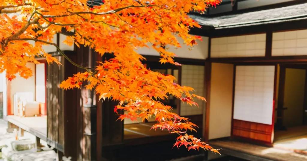 Hidden Autumn Foliage Spots