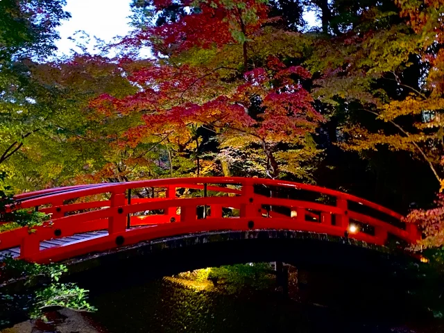 Kitano Tenmangu autumn leaves