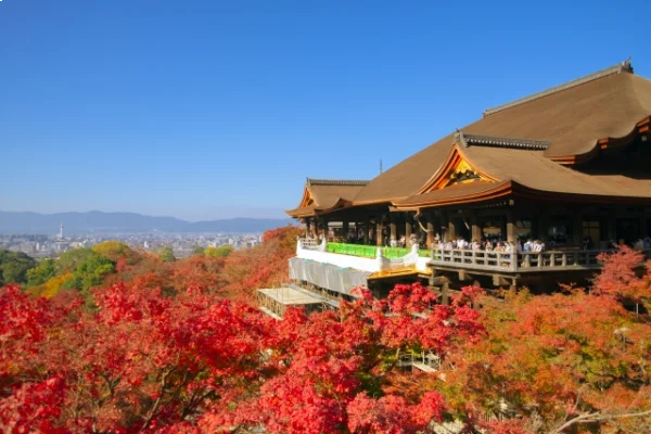 kiyomizu autumn leaves